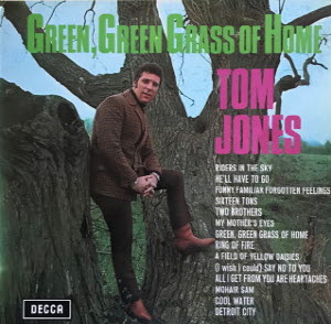 Tom Jones - Green, Green Grass of Home 가사해석 탐 존스 - 그린, 그린 그래스 오브 홈 뜻